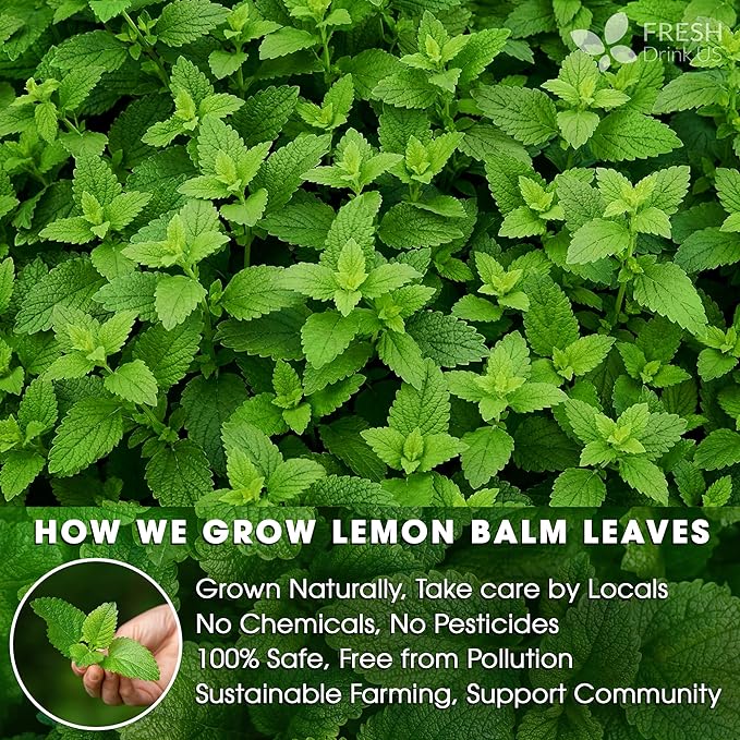 FreshDrinkUS, Premium 120 Lemon Balm Leaf Tea Bags, 100% Natural & Pure from Lemon Balm Leaves. Loose Leaf Herbal Te. No Sugar, No Caffeine, No Gluten, Vegan.