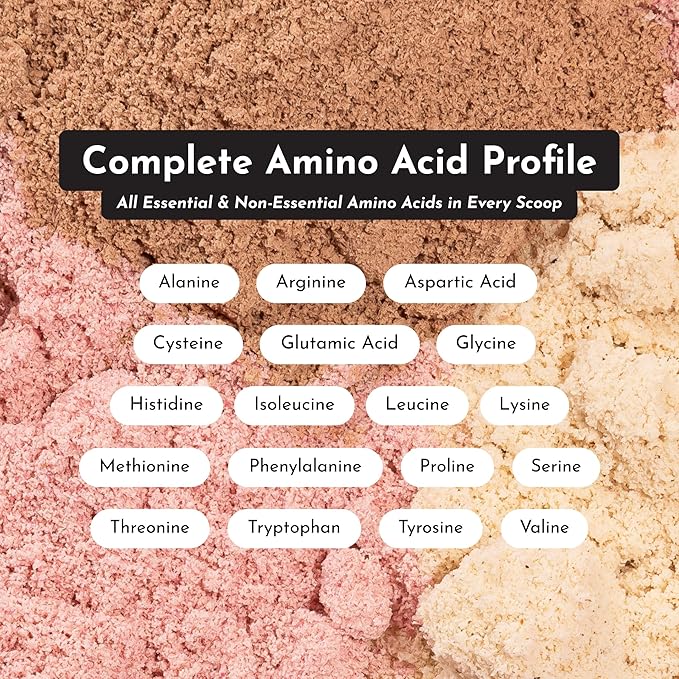 JUST INGREDIENTS Strawberries & Cream Protein Powder – 20-Serving Blend with 100% Grass-Fed Whey & Organic Plant Proteins – Real Strawberry Flavor – Supports Muscle Recovery, Energy*