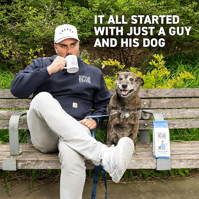 Stella Blue Cold Brew Coffee Bags, Cinnamon Sugar Donut, Medium Roast Ground Coffee, Smooth, Bold and Refreshing 100% Arabica, 6 Brew Packets, Makes 24 Cups, Rainforest Alliance Certified